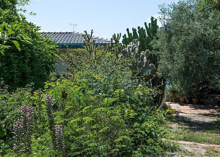 Artistic Pool Private 하니아