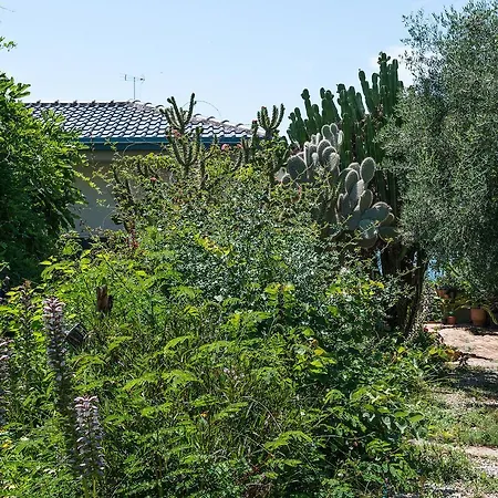 Artistic Pool Private Χανιά